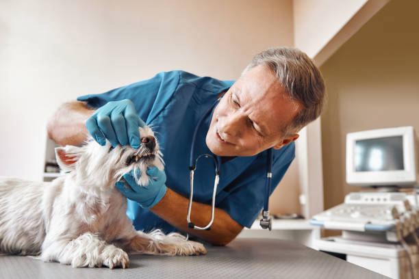 Best Weekend Emergency Dentist in Sheridan, AR